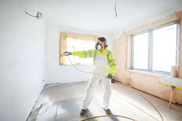 Best Ceiling Drywall Installation  in Vla Grove, IL