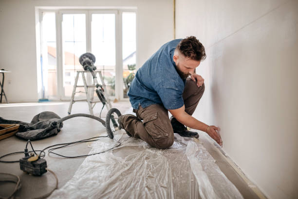 Best Drywall Crack Repair  in Vla Grove, IL