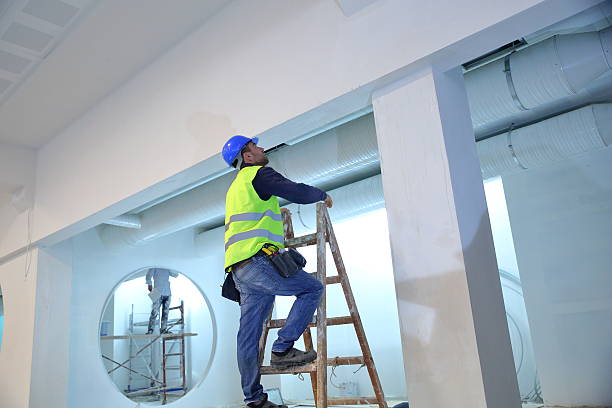 Best Custom Drywall Designs  in Vla Grove, IL